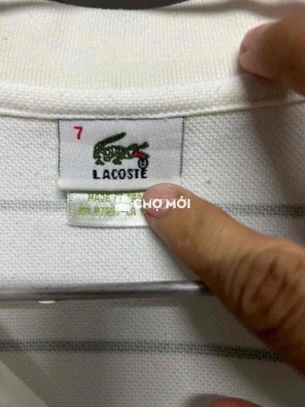 Áo polo Lacoste nam Cotton Trắng sọc đen