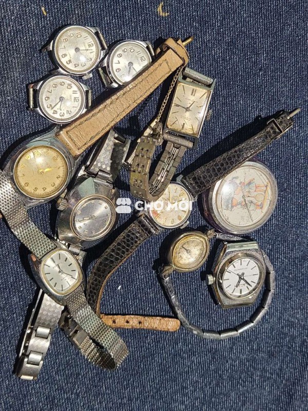 Lô 11 chiếc cơ nữ