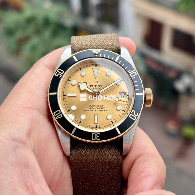 Đồng hồ Tudor BlackBay Heritage M79733N Nam