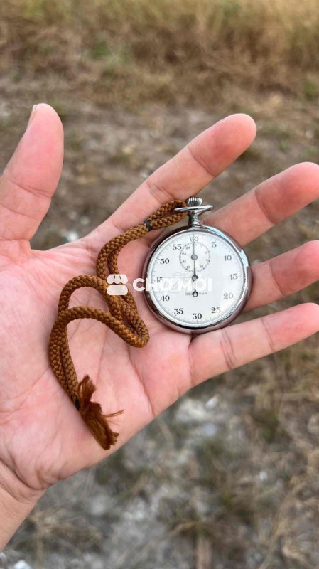 Đồng Hồ Quýt Seiko Cót Tay Bấm Giờ