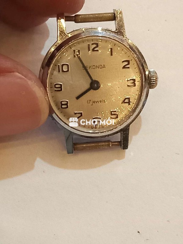 Đồng hồ đeo tay Sekonda Nữ kim loại size 22