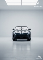 Thành Tiến Vinfast 