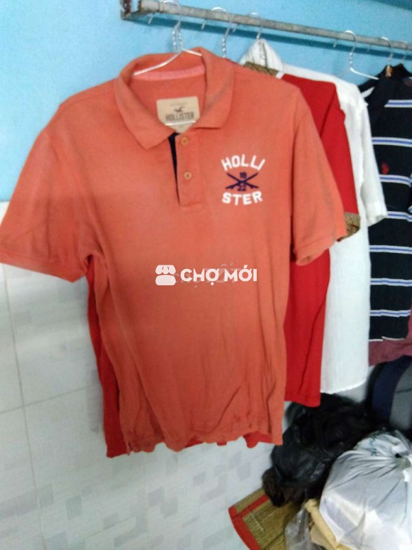 Áo polo Hollister nam Cotton Cam