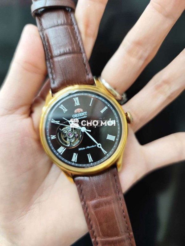 Đồng hồ Orient Nam Automatic 43mm Nâu