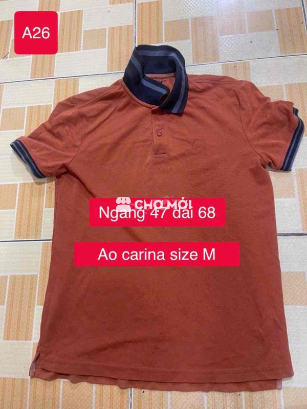 Áo polo Carina nam size M