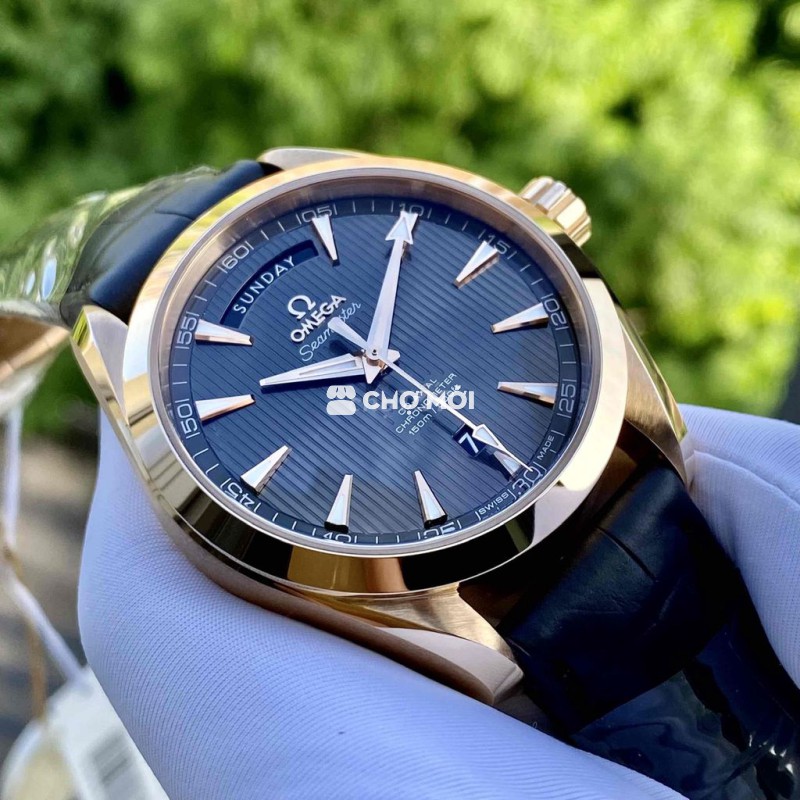 Omega Seamaster Aqua Terra 231.53.42.22.06.001