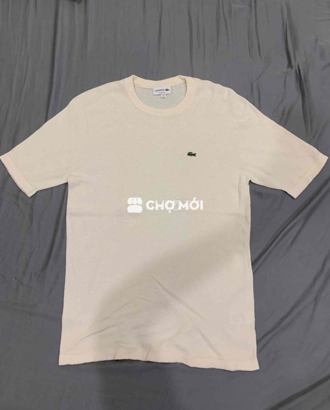 Áo thun Lacoste nam len sợi bông size 3
