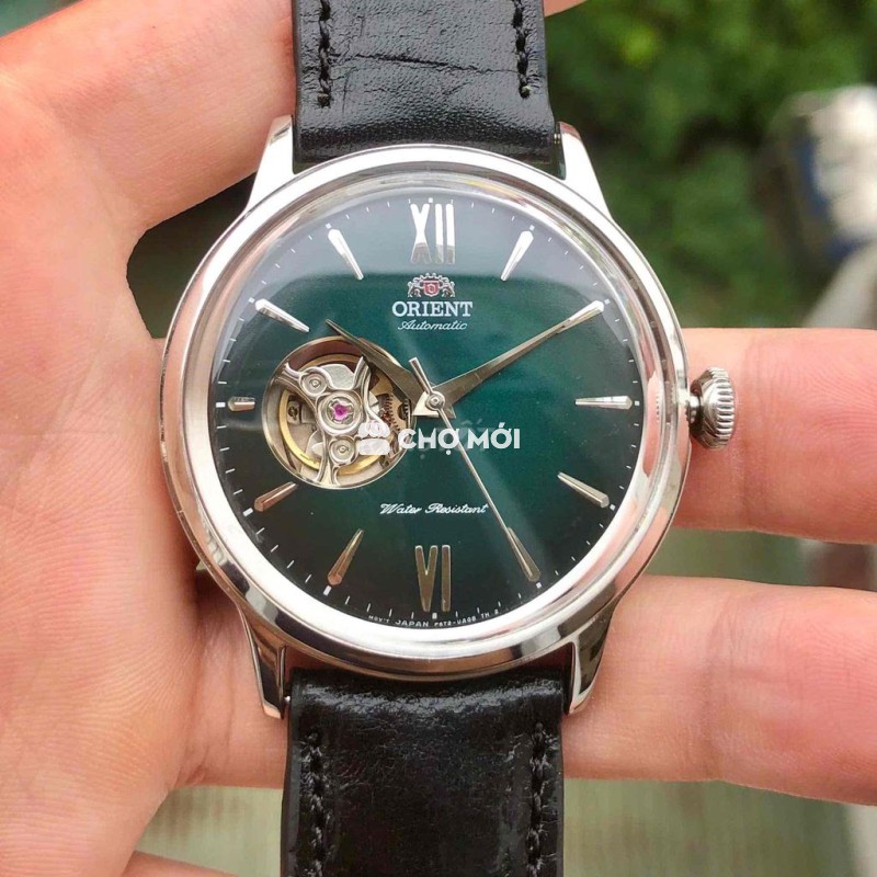 Orient Bambino lục bảo dây da