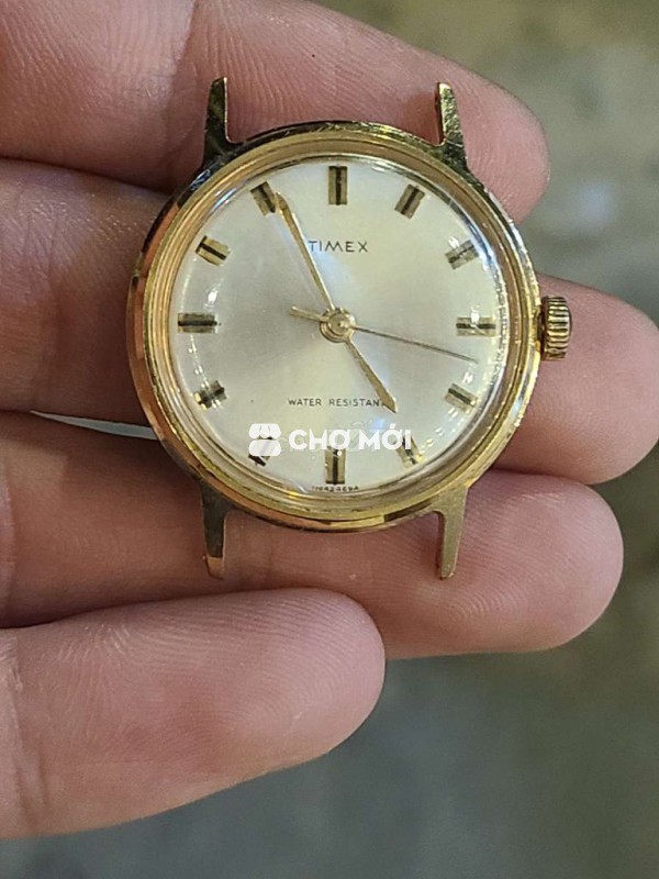 Đồng hồ Timex Cơ cót 30.5mm
