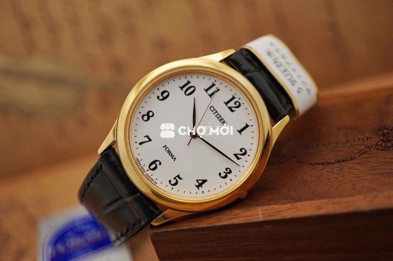 Đồng hồ Citizen Forma Unisex 34mm 18K GP