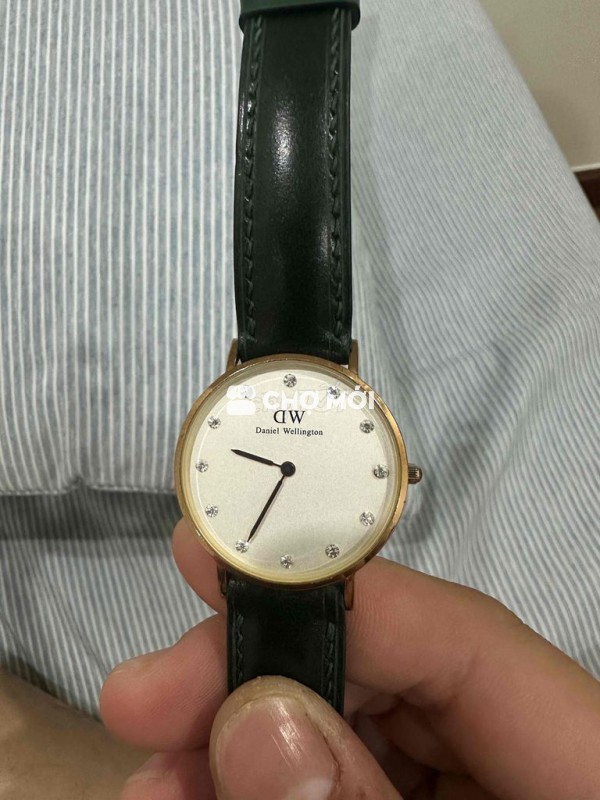 DW size 34 vàng hồng chính hãng