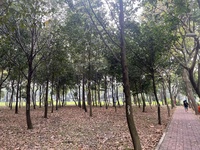 Tên chưa cung cấp