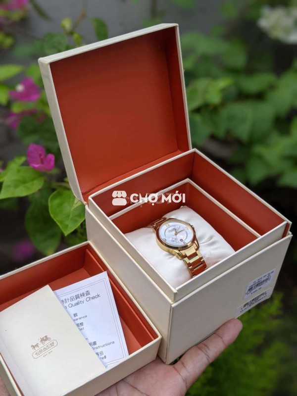 Đồng hồ thời trang COACH nữ