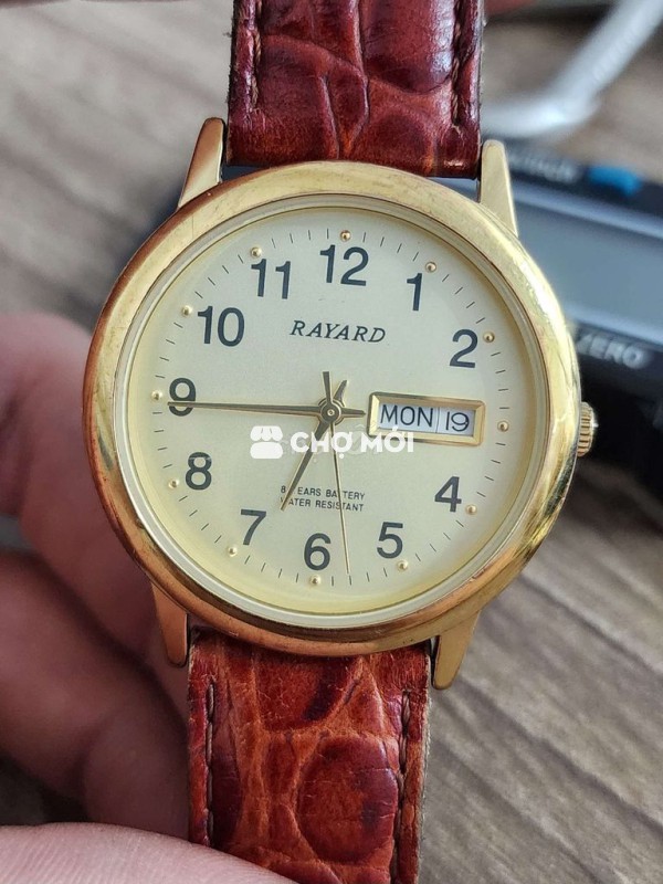 Đồng hồ RAYARD Nam Vỏ vàng 35mm