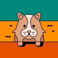 49. Đinh Trọng Tùng