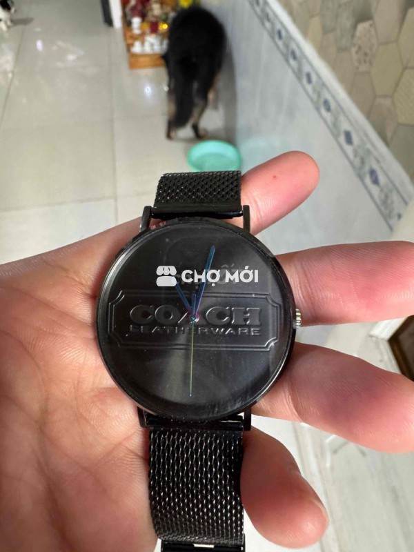 Đồng hồ Coach nam thép không gỉ