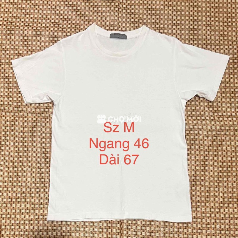 Áo thun trắng Giordano sz M