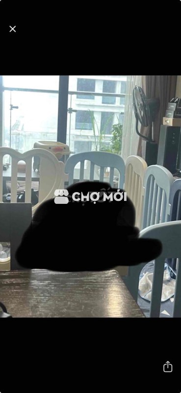 Quây cũi nhựa cho bé 1m6 x 2m