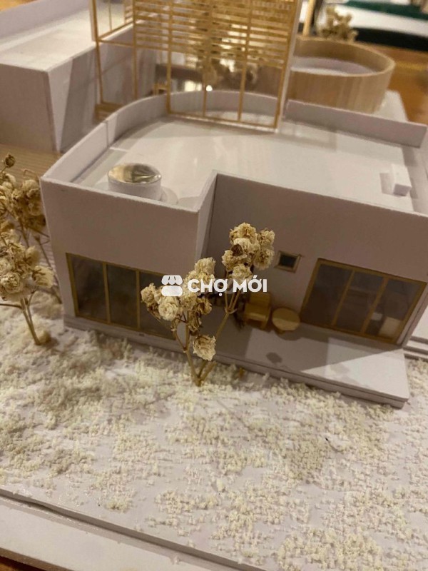 TANK_DEM| VÀNG_ĐẸP S|ZE_30mm CHUẨN CỦA CAS|0_AQ7O5