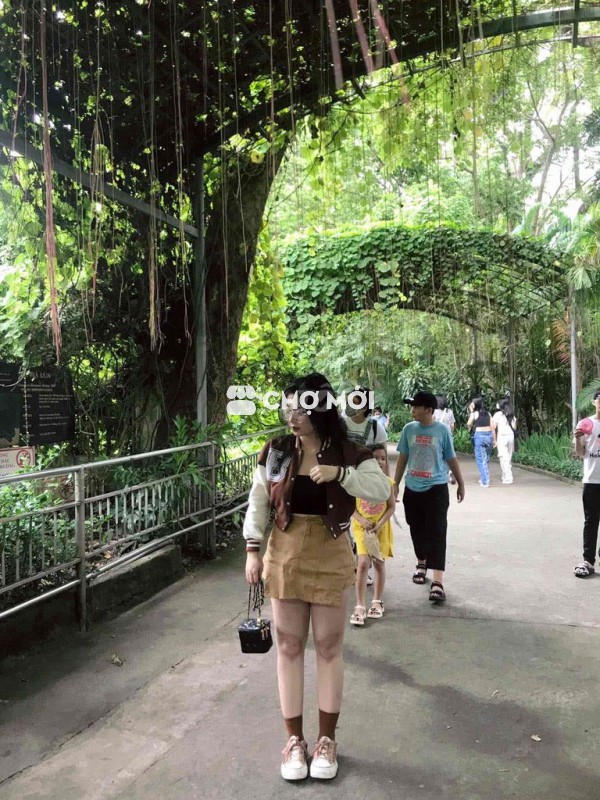 Áo khoác bomber croptop nâu