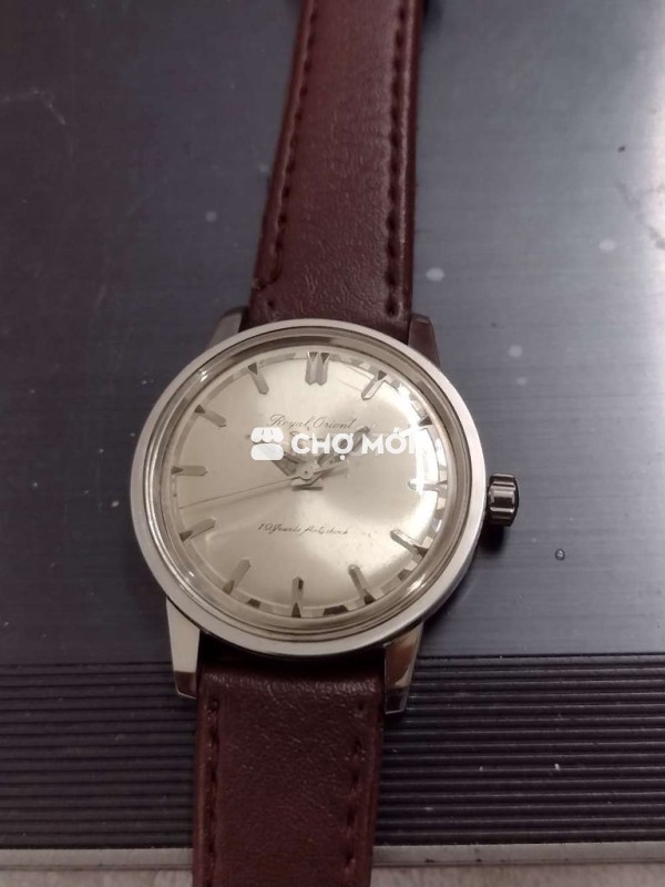 Royal Orient Swimmer