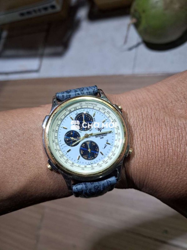 Đh Carlo japan si nhật