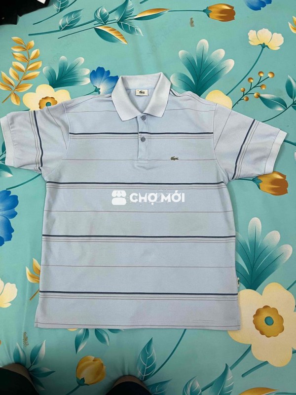 Áo polo Lacoste nam sọc ngang
