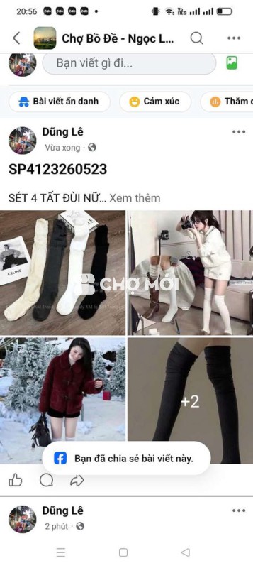 Set 4 tất đùi nữ