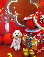 Hoàng Thị Minh Trang