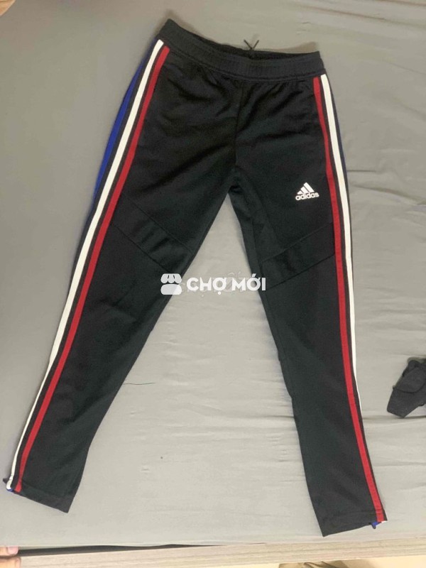 Quần tập luyện Adidas Tiro 19 Nữ sz S