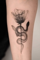 Nguyễn Hoàng Hương Xuân