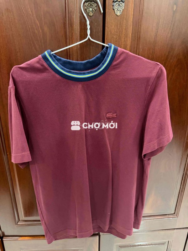 Áo thun Lacoste auth