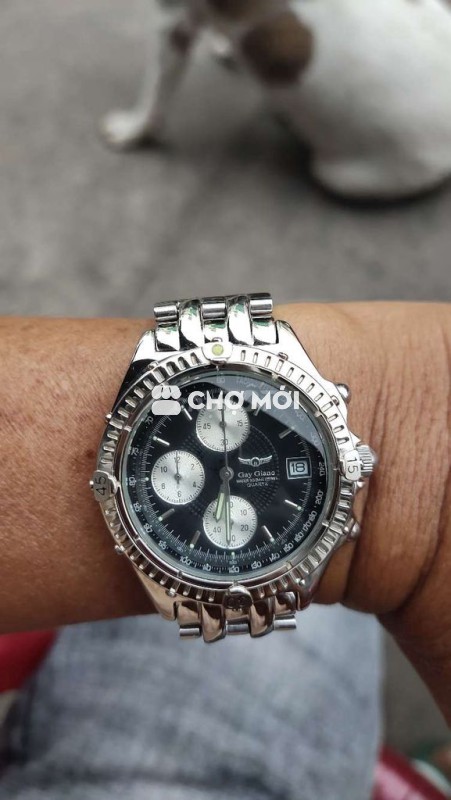 Đồng hồ Gay Giano Nam Thép không gỉ