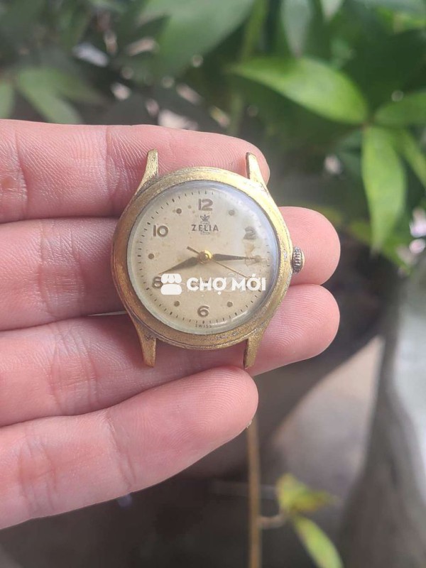 Đồng hồ ZELIA Thụy Sĩ