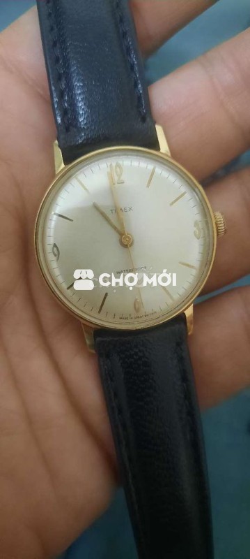 Đồng hồ Timex Nam Vỏ lắc kê vàng 34mm