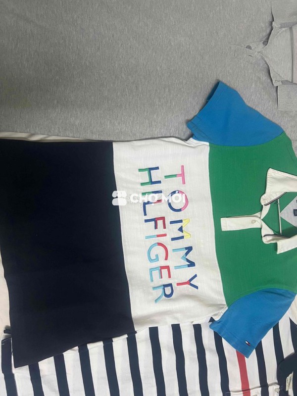 Áo polo Tommy Hilfiger Nam