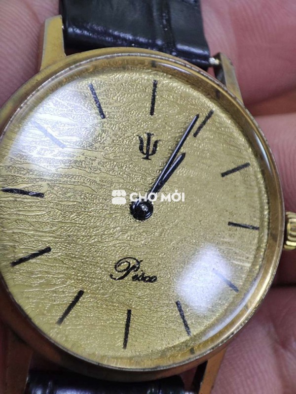 Đồng hồ đeo tay Pesco Nam Dây da