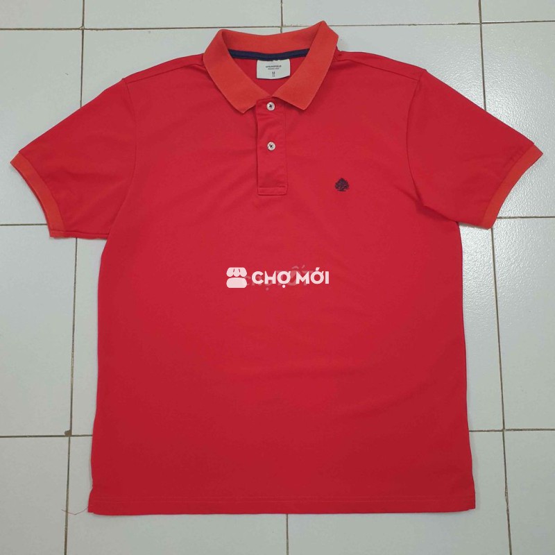 Áo polo Spr.ingfi.eld Tây Ban Nha ko mặc thanh lý