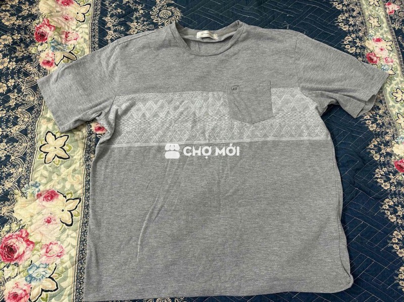 Áo thun Golden Bear Nam Cotton LL