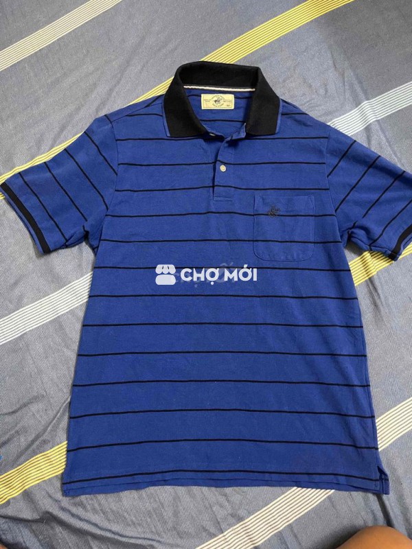 Áo polo nam Beverly Hills