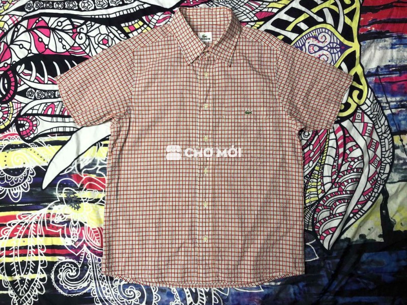 Lacoste Nam Kẻ caro 50-65kg