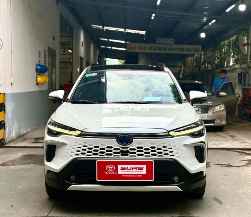 Cross Hybrid 2024 - Trắng Ngọc Trai