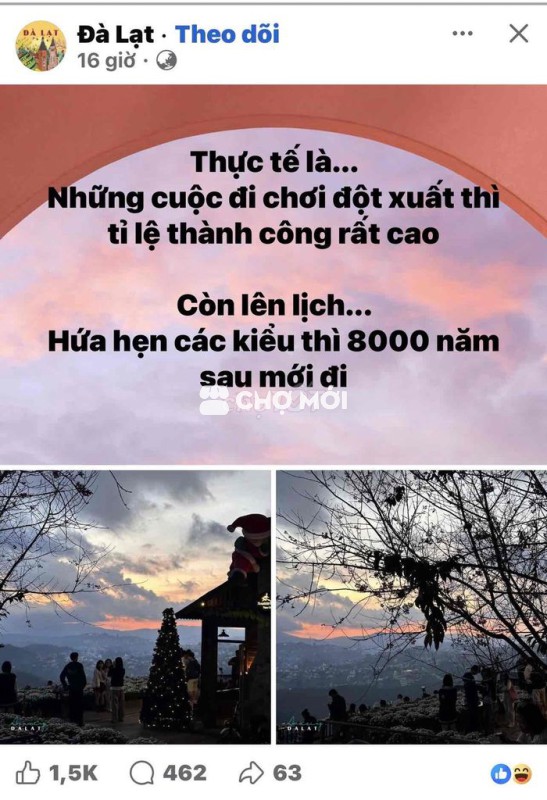Đầm nữ đã qua sử dụng
