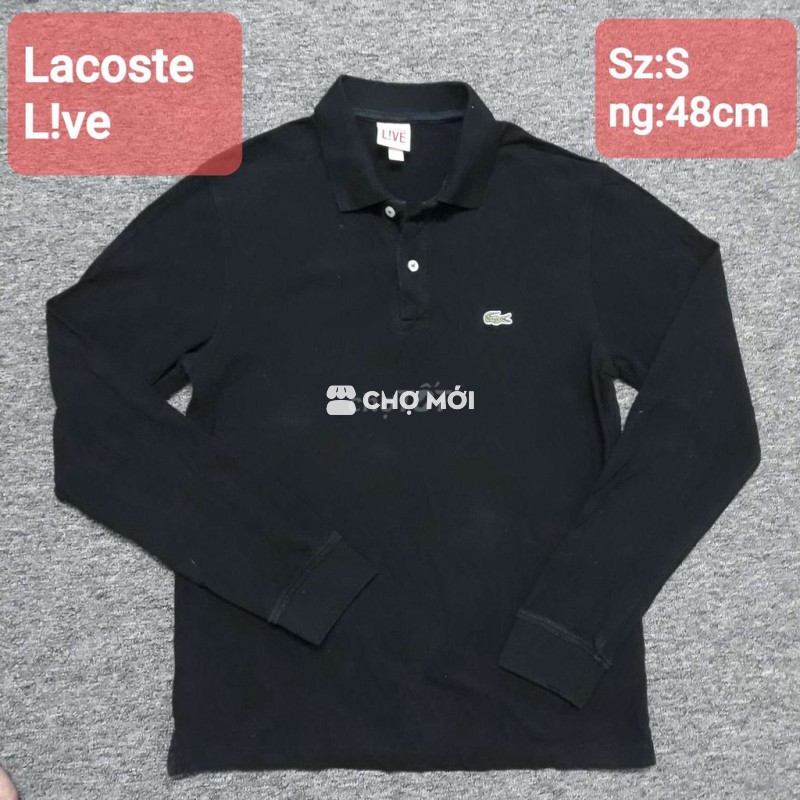 Áo polo Lacoste Live Cotton pique Nam S