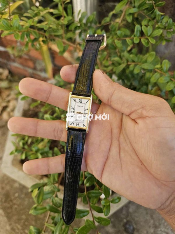 Đồng hồ Freeway CTZ Nam mạ vàng