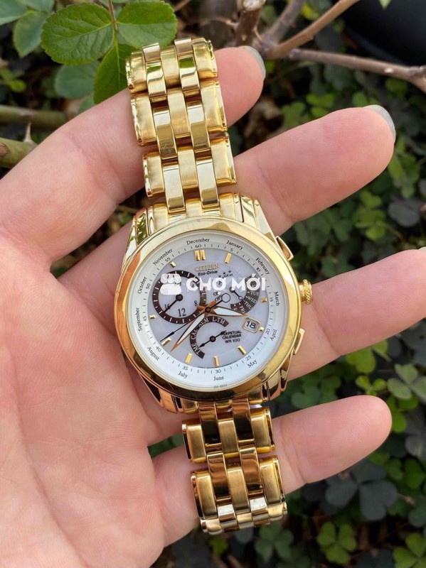 Đồng hồ Citizen Eco-Drive E870 Nam