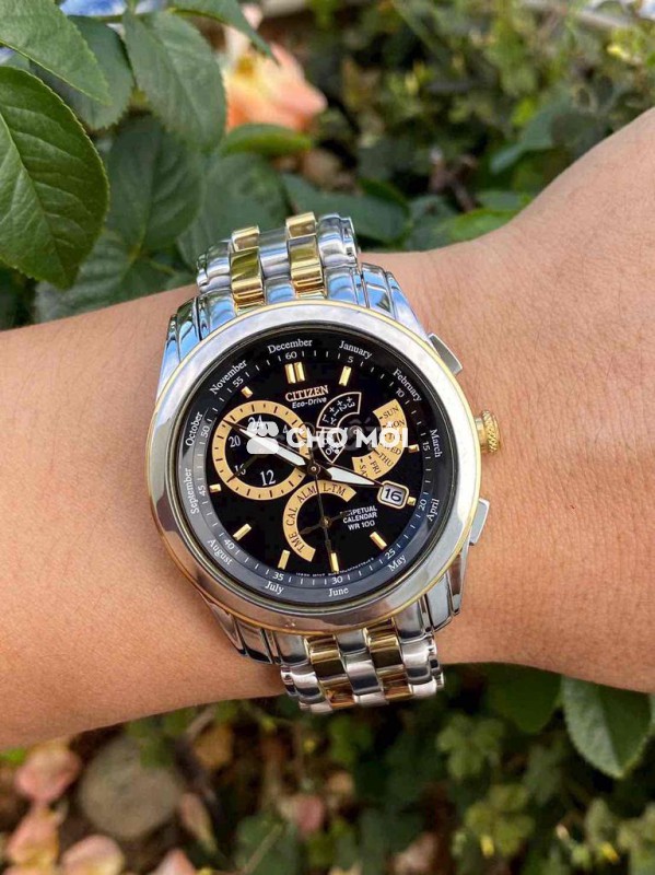 Đồng hồ Citizen Eco-Drive E870 Nam