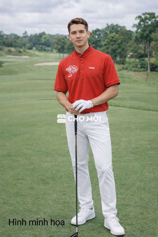 Polo Ping Collection size L