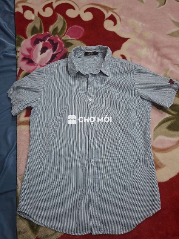 Áo sơ mi Evisu nam vải sọc trắng xanh size L