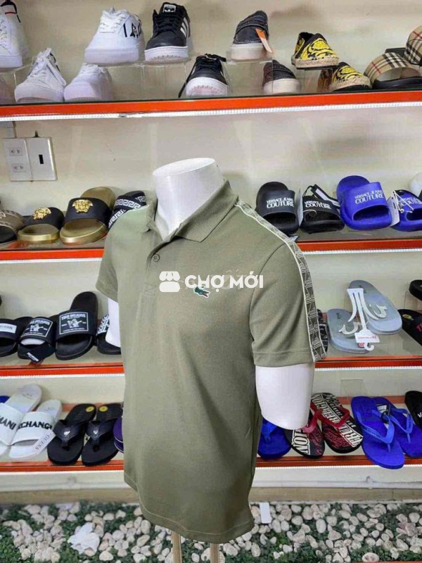 Áo polo Lacoste nam cotton xanh rêu